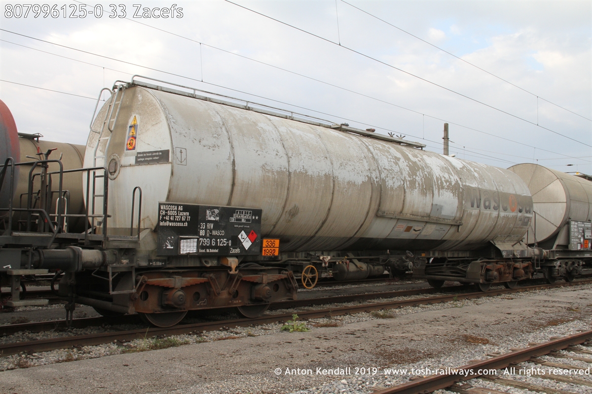 807996125-0_33 Zacefs.JPG